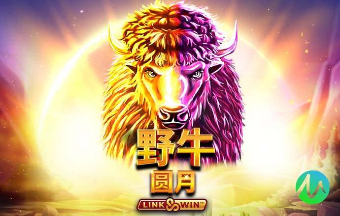 凤凰彩票安卓下载app